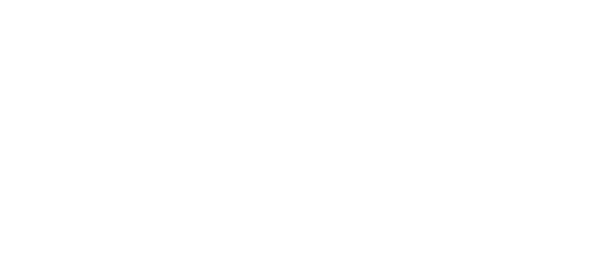 MISFIT / Brand Identity